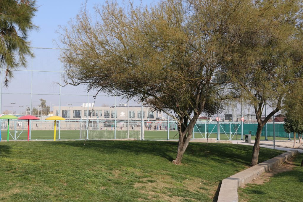 8. galeria